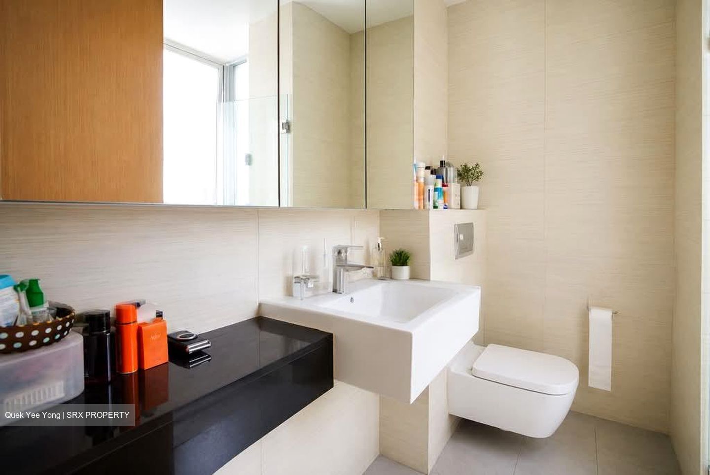 Oasis @ Elias (D18), Condominium #580642611